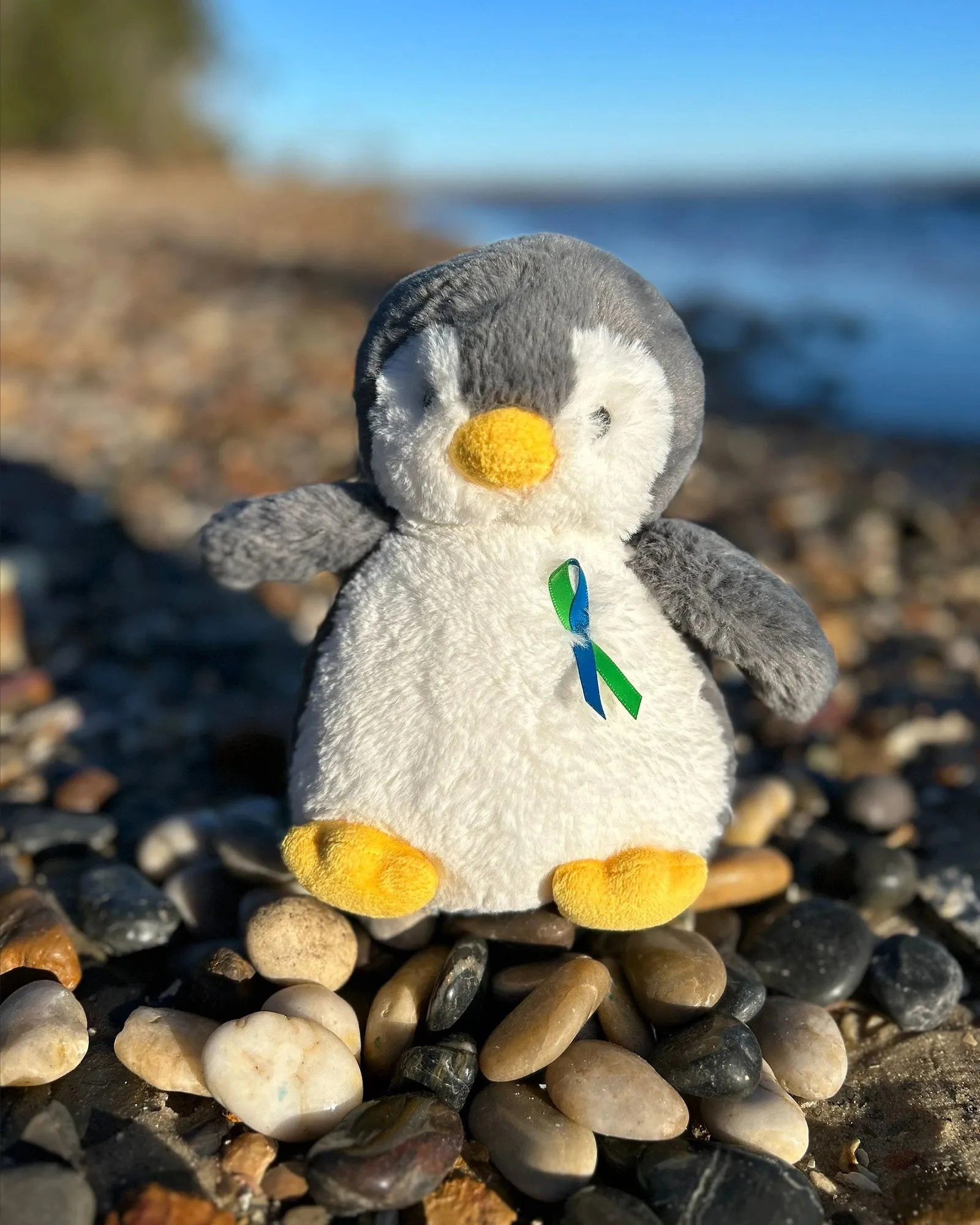 Childrens Tumour Foundation - Pebbles Penguin