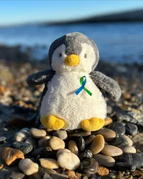 Childrens Tumour Foundation - Pebbles Penguin