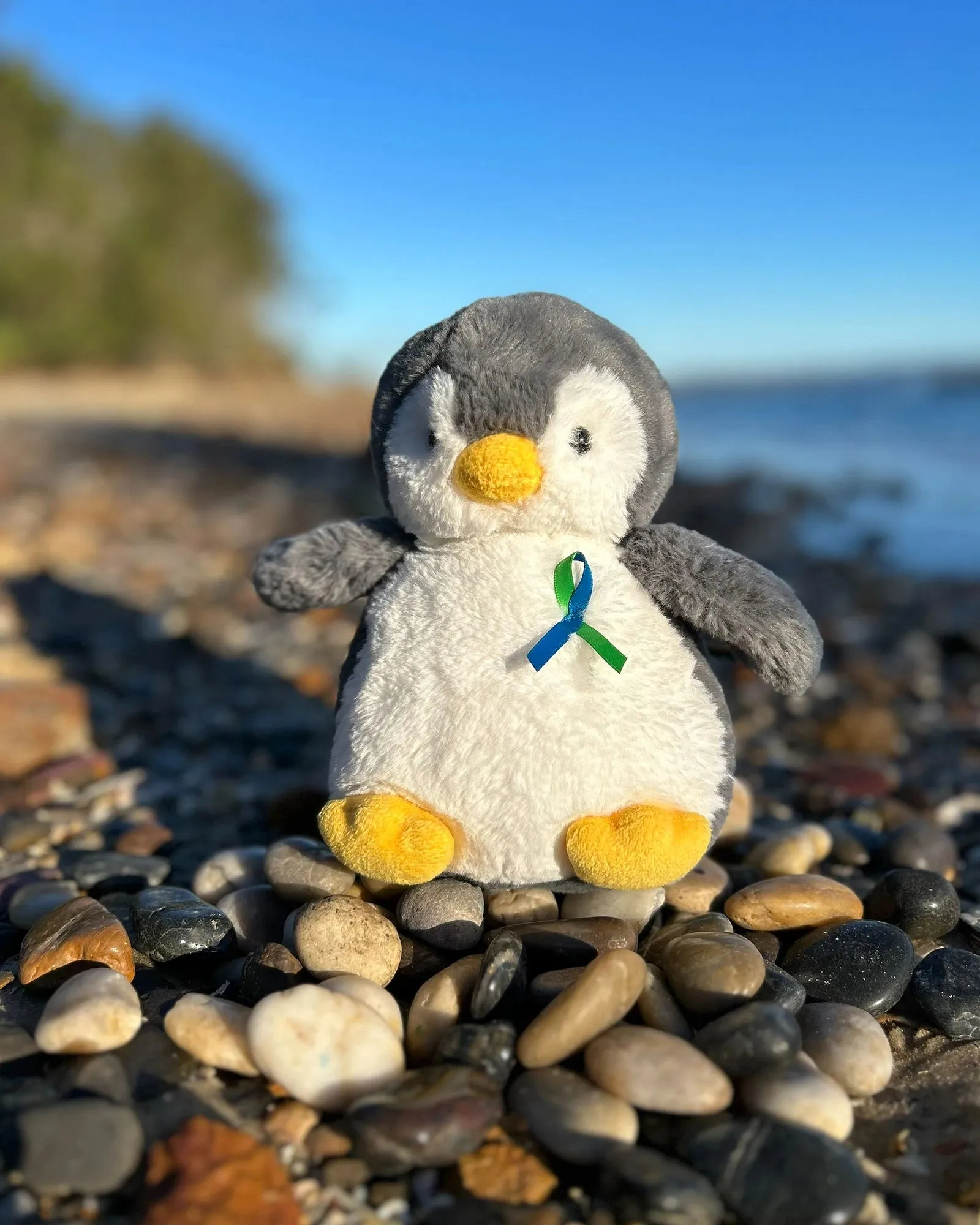 Childrens Tumour Foundation - Pebbles Penguin