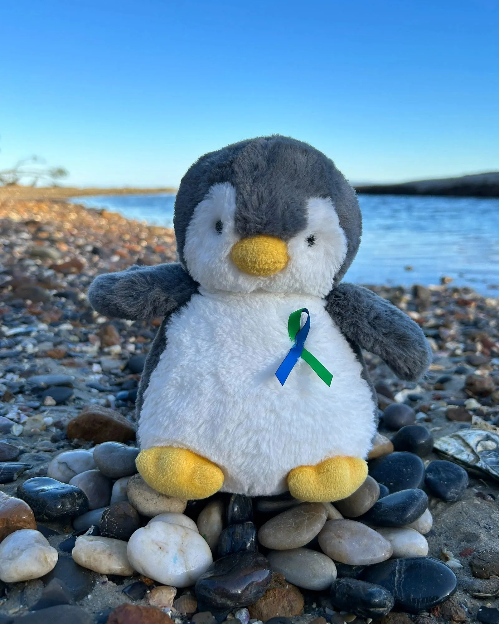 Childrens Tumour Foundation - Pebbles Penguin