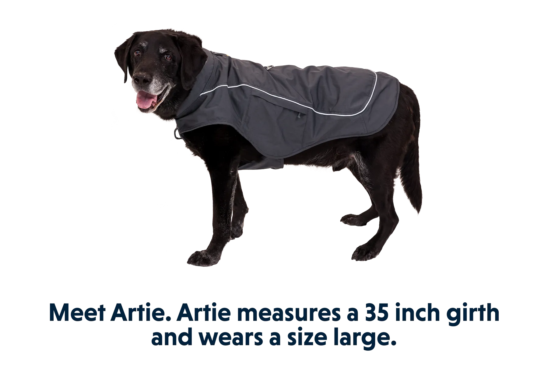 Overcoat Fuse™ Dog Jacket