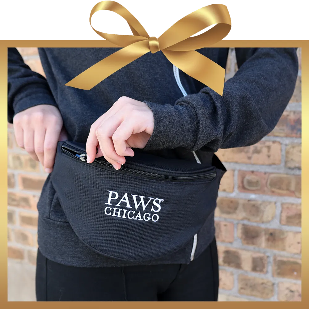 PAWS Fanny Pack