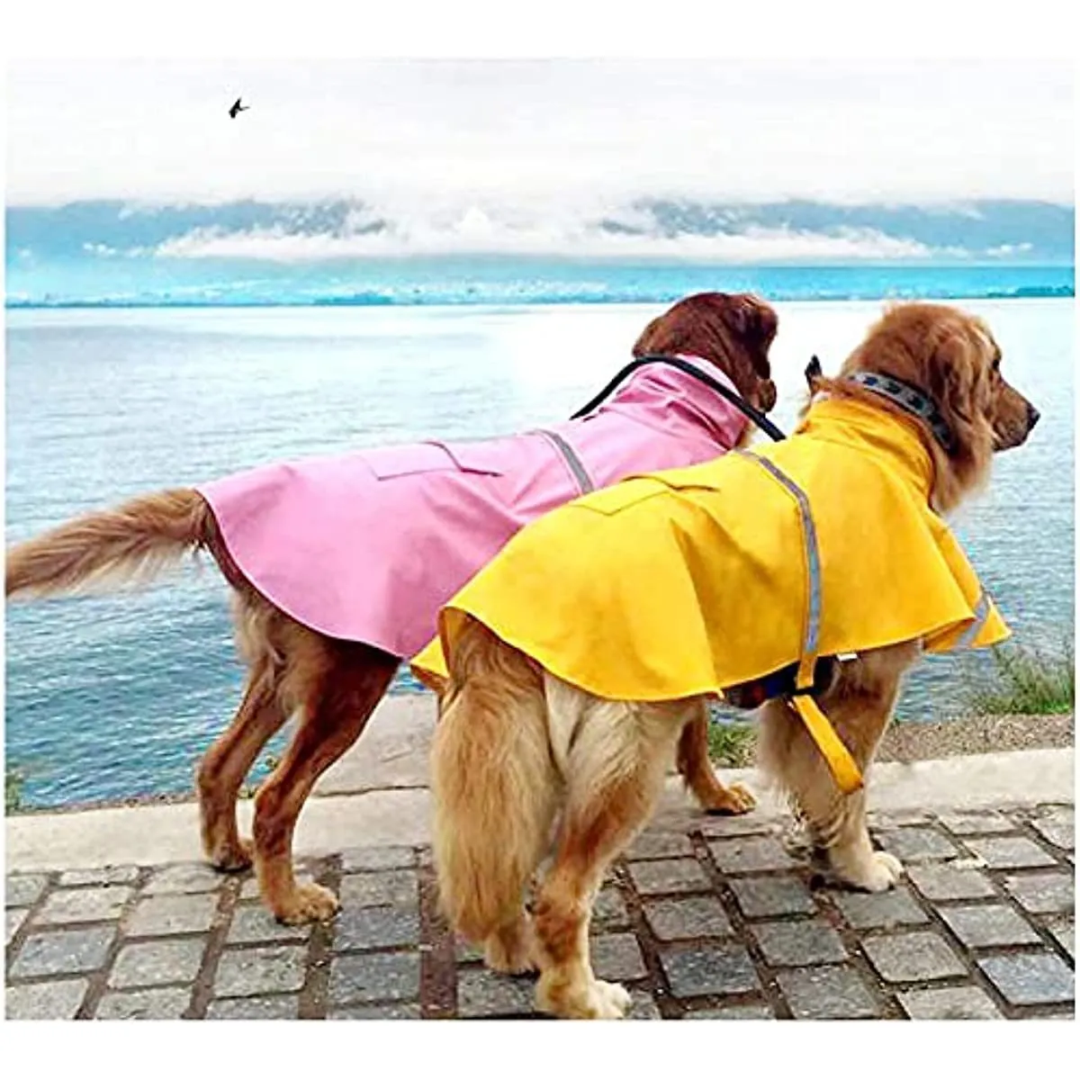 Waterproof Hooded Rain Poncho for Dogs